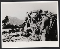 Downed Japanese Plane
