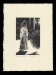 The Limberlost