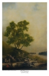 Old Shannon - 11 x 17 print