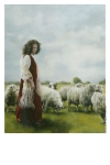 With Her Father's Sheep - 11 x 14 print