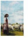 With Her Father's Sheep - 9 x 13.5 print
