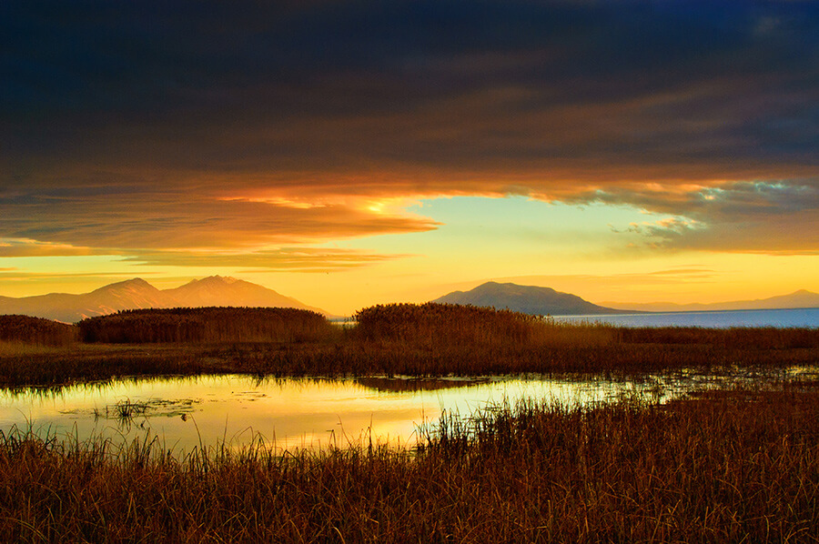 The Sky Opens - 20 x 30 giclée on canvas (unmounted) by Tanner Young
