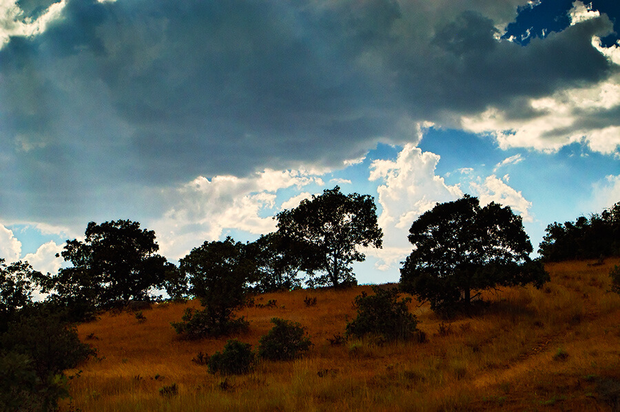 Light and Shadow - 24 x 36 giclée on canvas (unmounted) by Tanner Young
