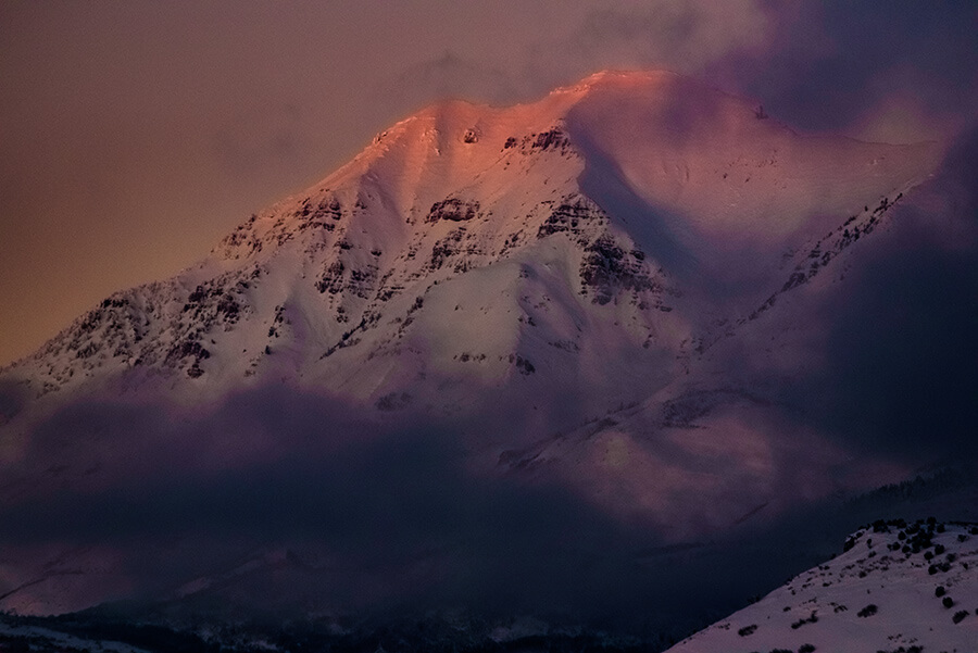 Purple Night - 20 x 30 lustre print by Tanner Young