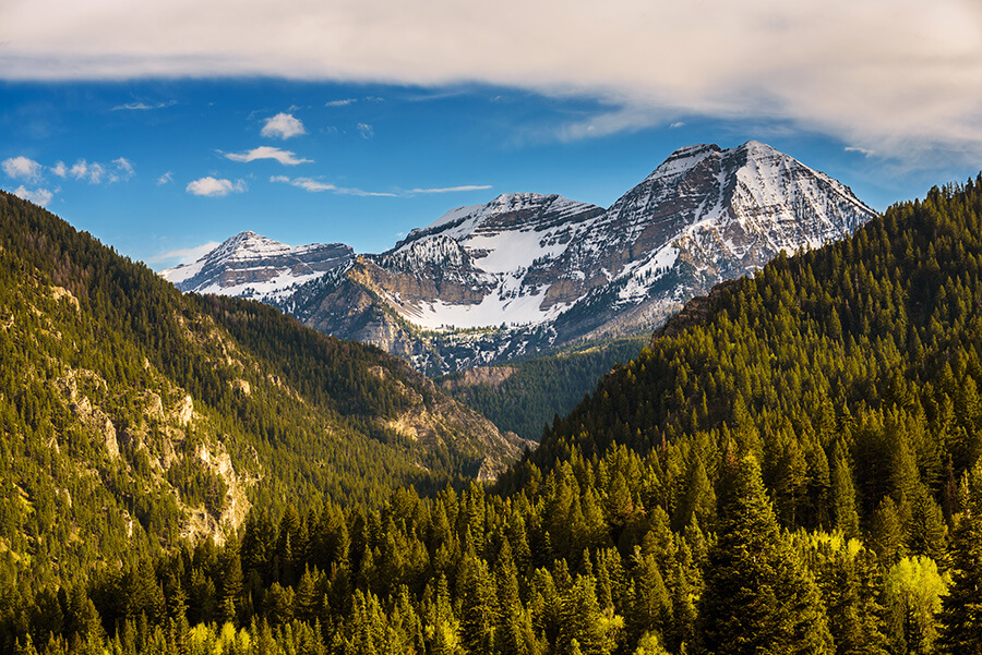 Summer Begins - 16 x 24 lustre print by Tanner Young
