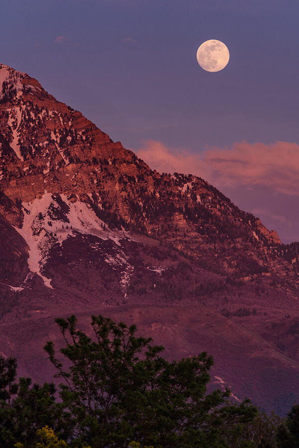 Rise of the Corn-planting Moon, II - 20 x 30 giclée on canvas (unmounted) by Tanner Young