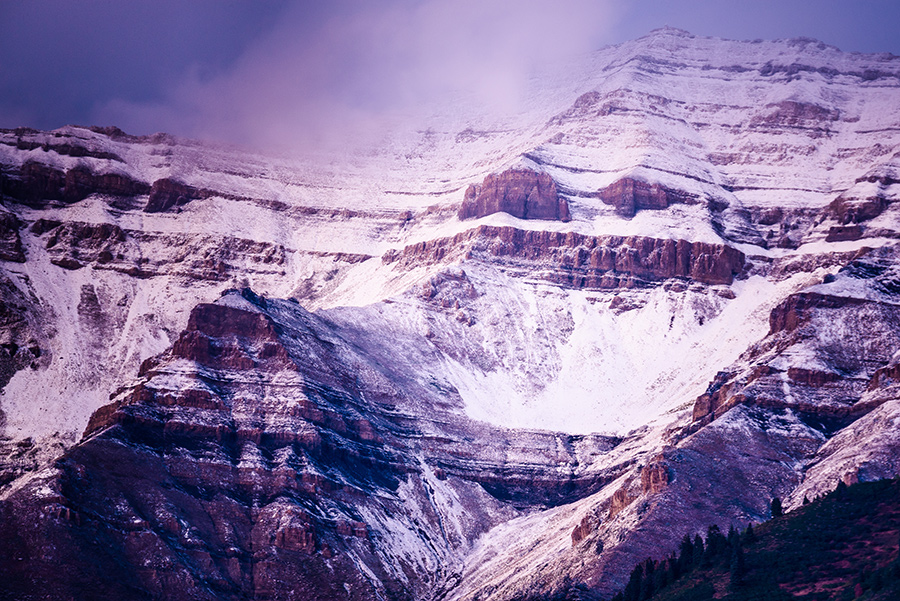 Early Snows, II - 24 x 36 giclée on canvas (unmounted) by Tanner Young