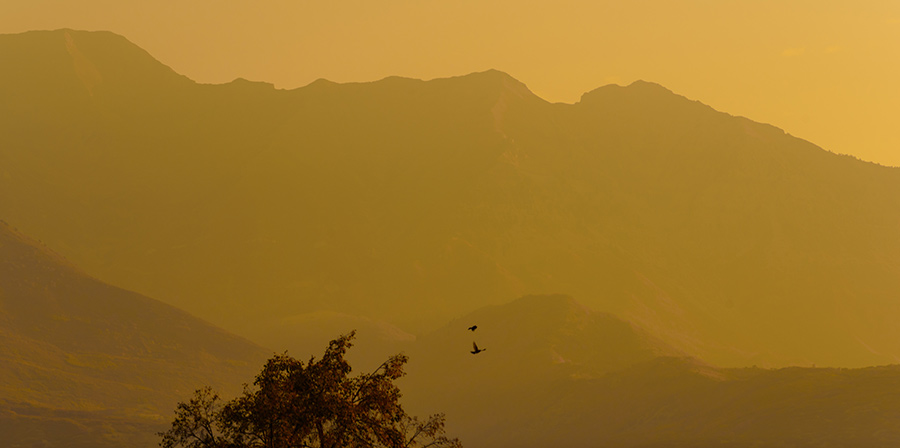 Morning Haze - 24 x 48 giclée on canvas (unmounted) by Tanner Young