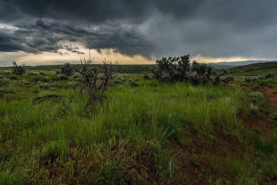 Grasslands and Sagebrush - 30 x 40 lustre print by Tanner Young
