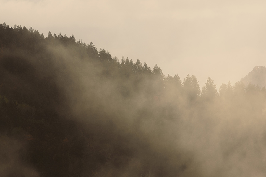 Through the Mists - 20 x 30 lustre print by Tanner Young