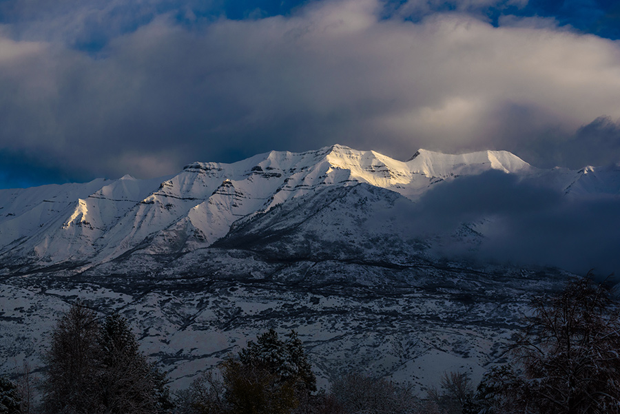 Winter Morning - 24 x 36 giclée on canvas (unmounted) by Tanner Young