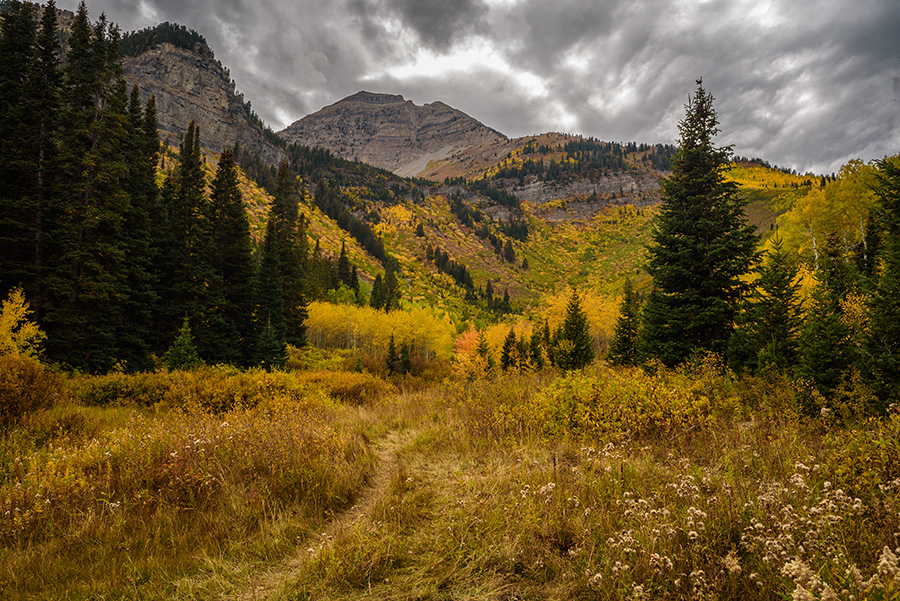 Mountain Path - 40 x 60 lustre print by Tanner Young