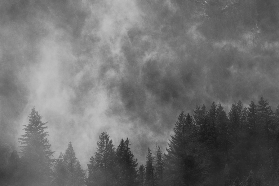 Alpine Mists - 40 x 60 lustre print by Tanner Young