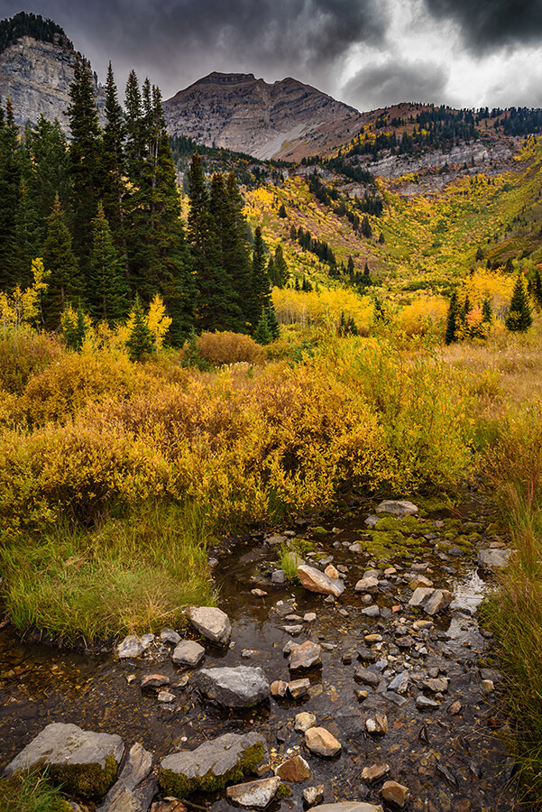 Mountain Stream - 40 x 60 lustre print by Tanner Young