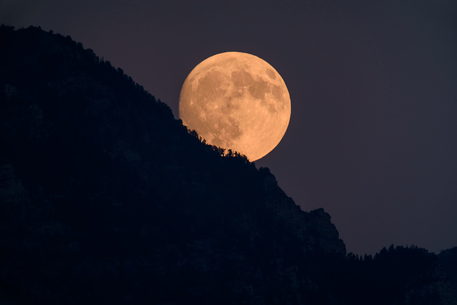 Moon through the treetops - 20 x 30 giclée on canvas (unmounted) by Tanner Young