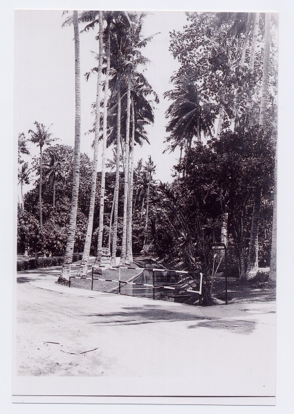 File:4.14.1316.000.jpg