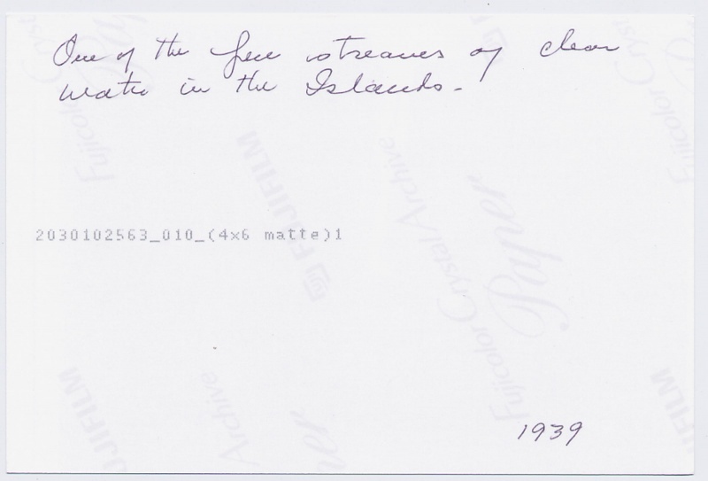 File:4.14.1317.001.jpg
