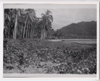 Unknown Beach in the Philippines