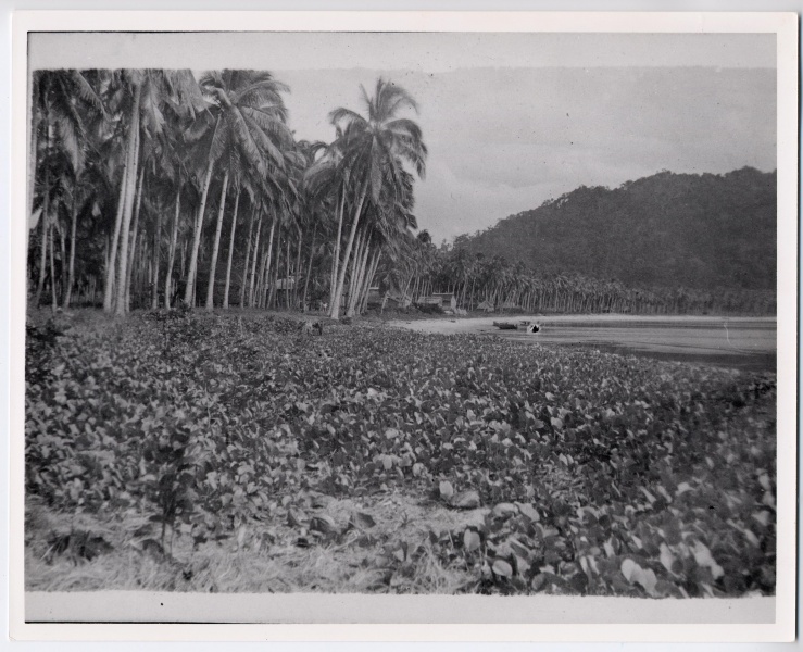 File:4.14.0328.000.jpg