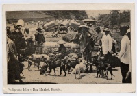 Dog Market Postcard