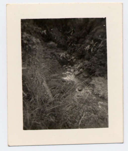 File:4.14.0036.000.jpg