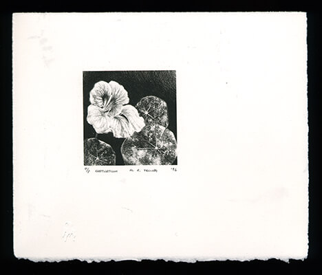 Nasturtium - Limited Edition Lithography Print by Al Young