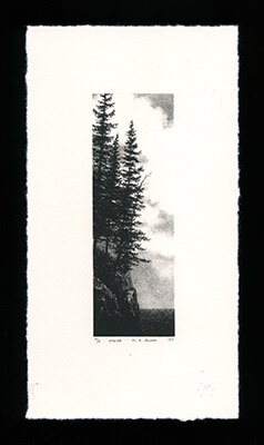 Maine - Limited Edition Lithography Print by Al Young