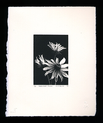 Black-eyed Susan - Limited Edition Lithography Print by Al Young