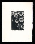 Foxglove - Limited Edition Lithography Print