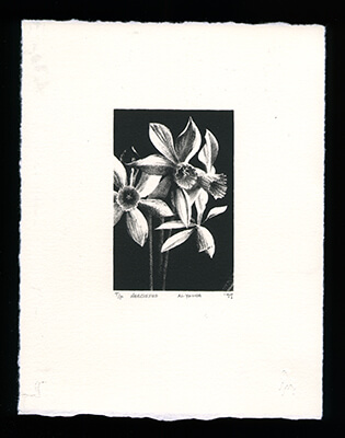 Narcissus on beige paper - Limited Edition Lithography Print by Al Young
