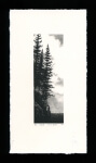 Maine - Limited Edition Lithography Print