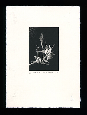 Unfurling - Limited Edition Lithography Print by Al Young