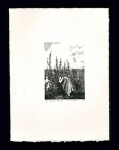 Elspeth&rsquo;s Hollyhocks - Limited Edition Lithography Print