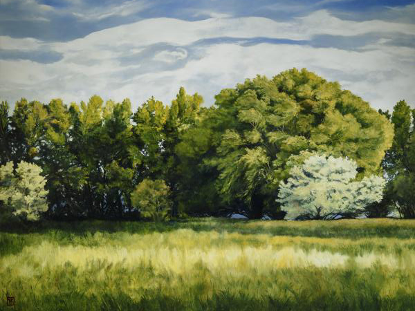 Green And Pleasant Land - 18 x 24 giclée on canvas (pre-mounted) by Ashton Young