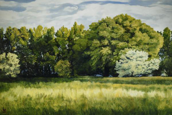 Green And Pleasant Land - 20 x 30 giclée on canvas (unmounted) by Ashton Young
