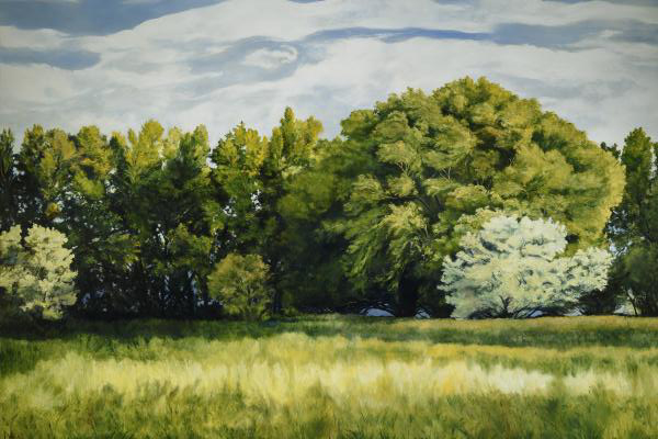 Green And Pleasant Land - 24 x 36 giclée on canvas (unmounted) by Ashton Young