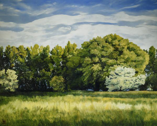 Green And Pleasant Land - 16 x 20 giclée on canvas (pre-mounted) by Ashton Young