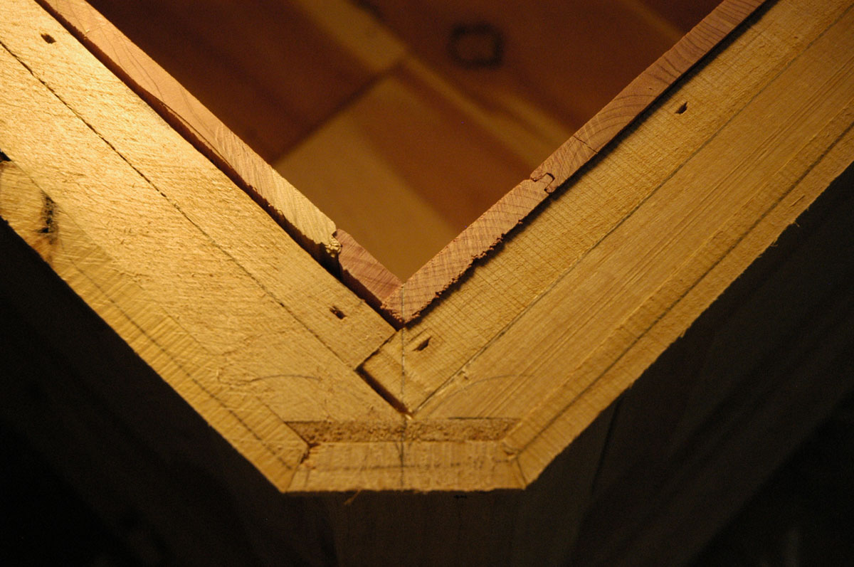 Cross-section view of layers in the walls of the chest.