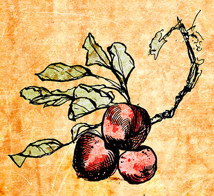 3.30.0138.001digital background