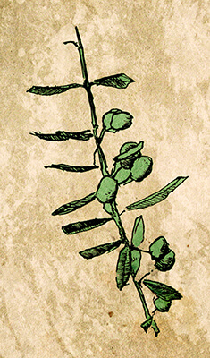 3.30.0251.001digital background