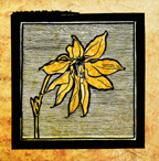 Custom  framing