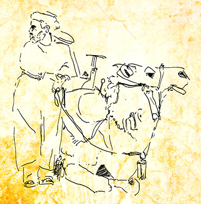 Man Beside Kneeling Camel