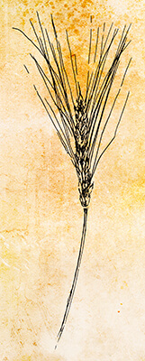 3.30.0183.001digital background