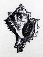 3.30.0184.000white background