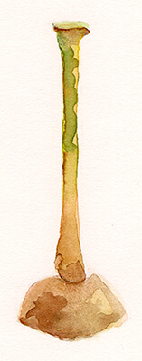 Cosmetic Container No. 4