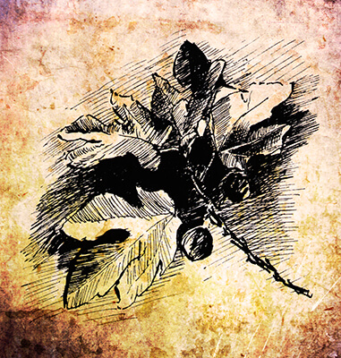 3.30.0171.001digital background