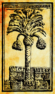 3.30.0173.001digital background