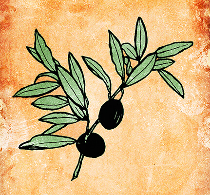 3.30.0185.001digital background