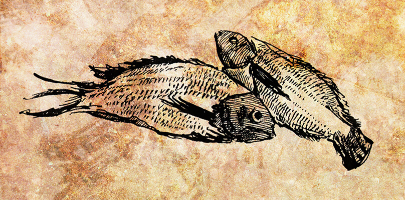 3.30.0262.001digital background