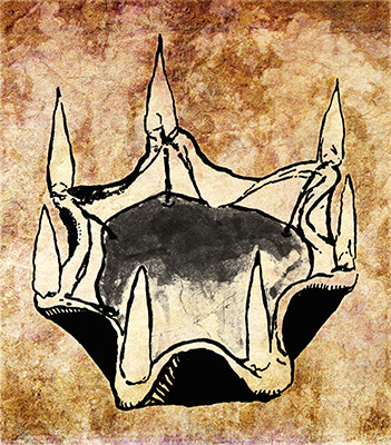 3.30.0264.001digital background